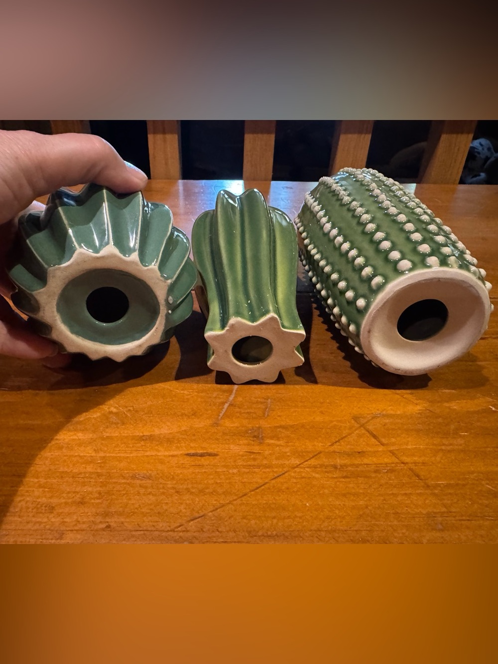 CACTI TRIO - Picture 3 of 7